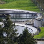 Kläranlagen beeinflussen Artenvielfalt in hessischen Gewässern
