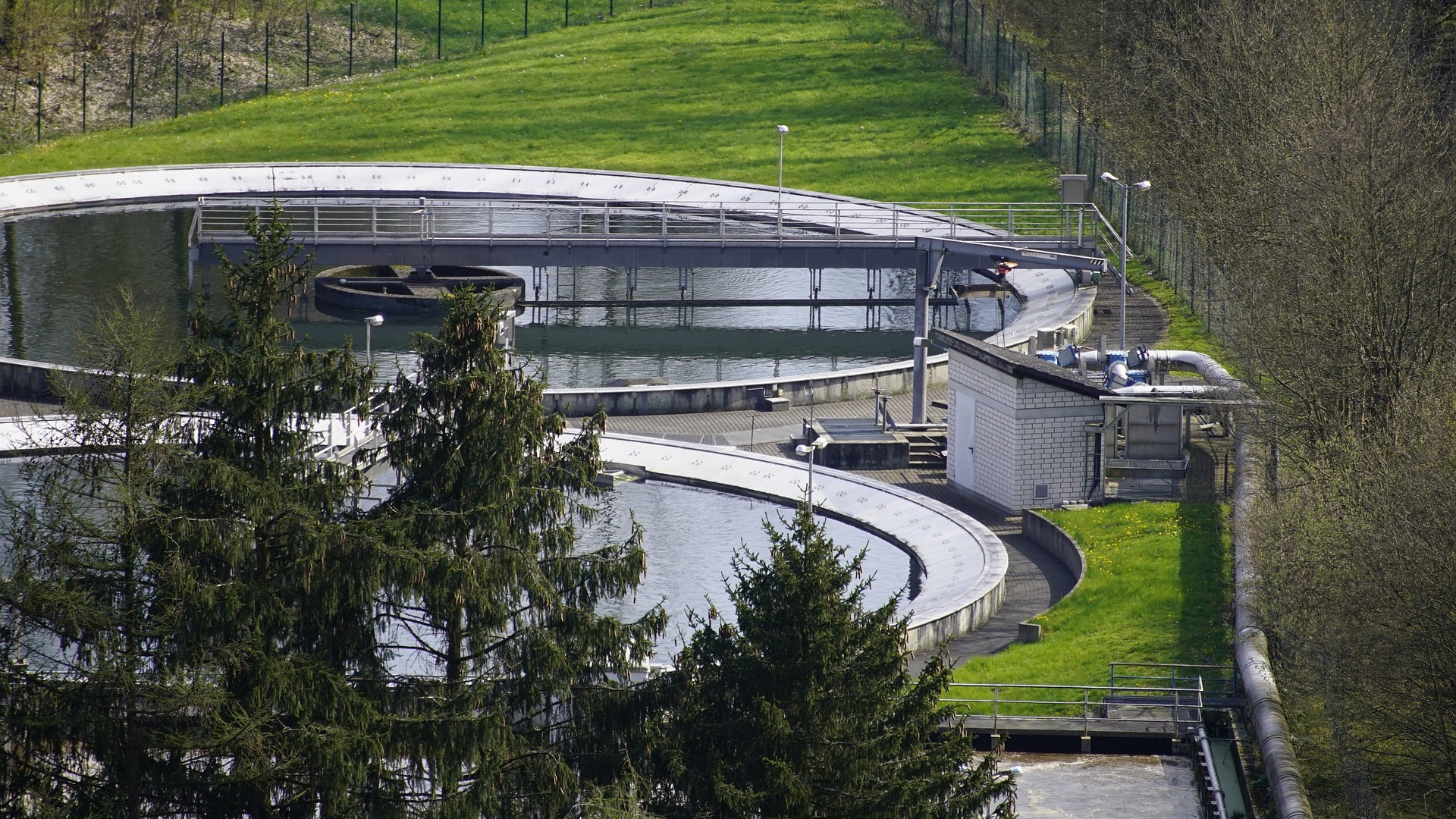 Mehr über den Artikel erfahren Kläranlagen beeinflussen Artenvielfalt in hessischen Gewässern