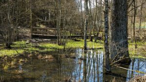 Wasserrückhalt in der Landschaft - eingestauter Bereich