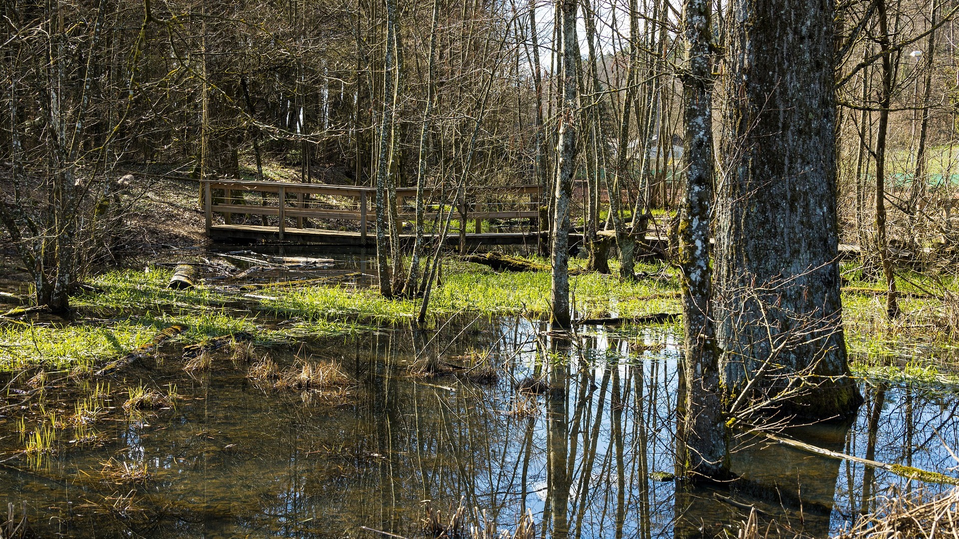 Du betrachtest gerade Seminar: Hochwasserrückhaltebecken