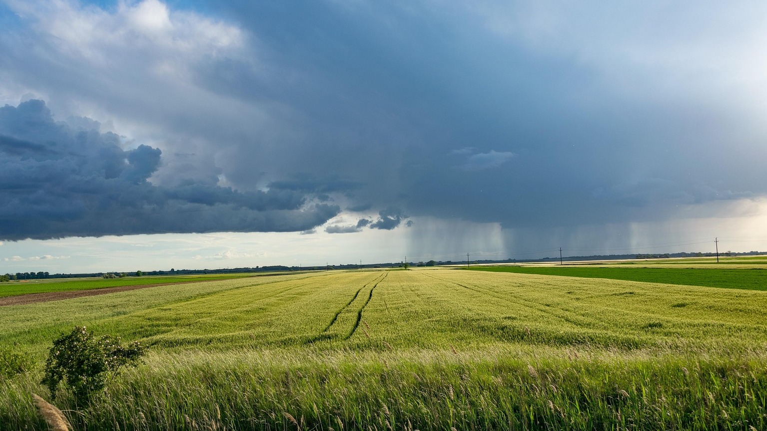Du betrachtest gerade Webinar: Wasserhaushalt – Agrarforschung zum Klimawandel