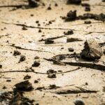 Grundwasserstress in Deutschland: Überblicksstudie zeigt regionale Hotspots