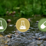 Mikroverunreinigungen im Fokus: Studie verdeutlicht Einfluss auf Gewässerökologie