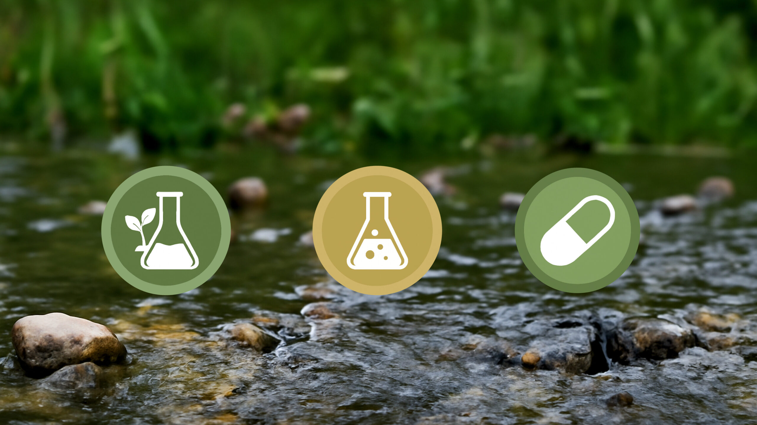 Du betrachtest gerade Mikroverunreinigungen im Fokus: Studie verdeutlicht Einfluss auf Gewässerökologie