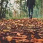 Archivboden ist Boden des Jahres 2026 – Hessen übernimmt Schirmherrschaft