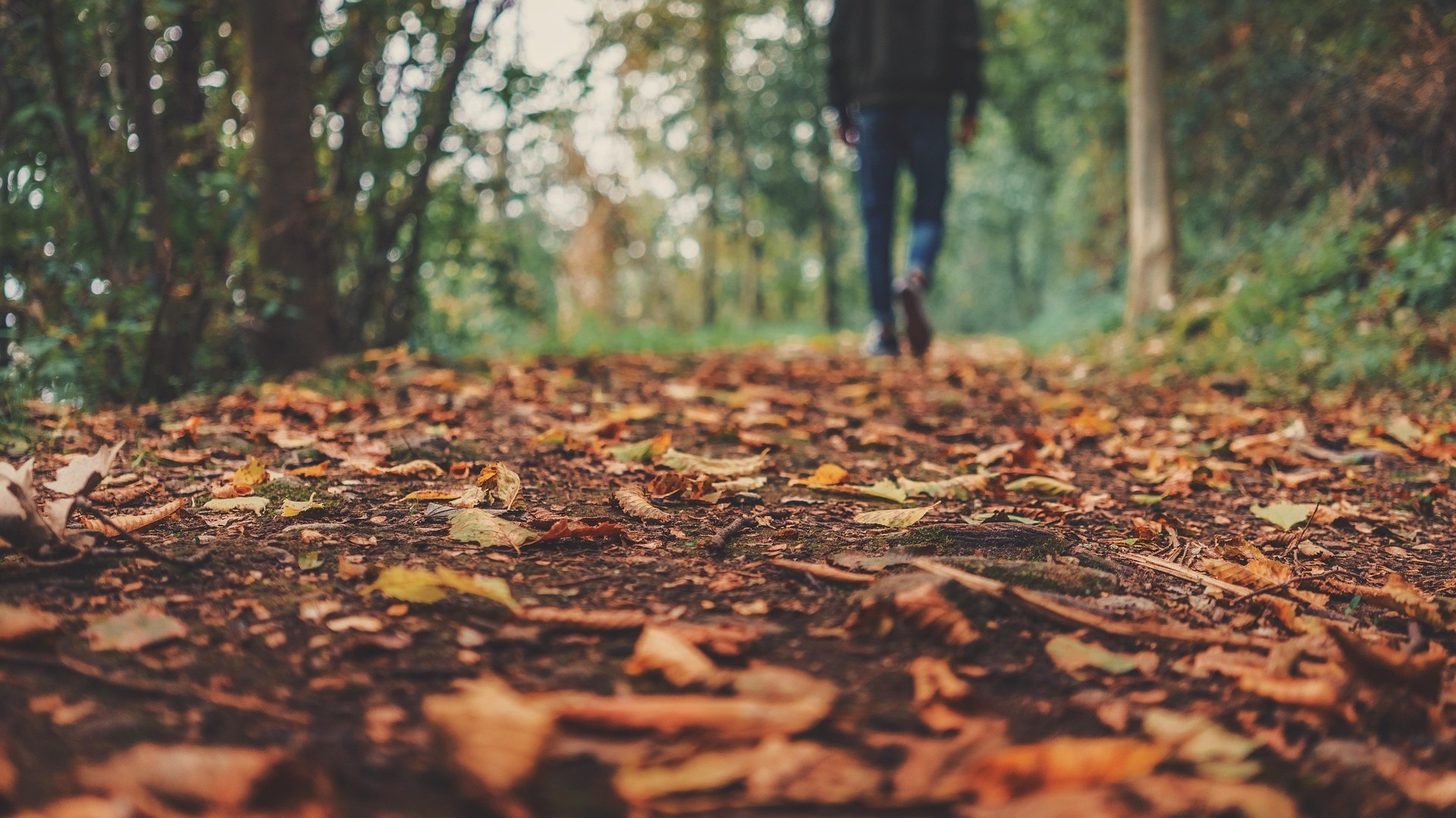 Du betrachtest gerade Archivboden ist Boden des Jahres 2026 – Hessen übernimmt Schirmherrschaft