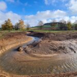 Einfluss der Wasserqualität: Neue Studie zeigt, wo Renaturierung an Grenzen stößt