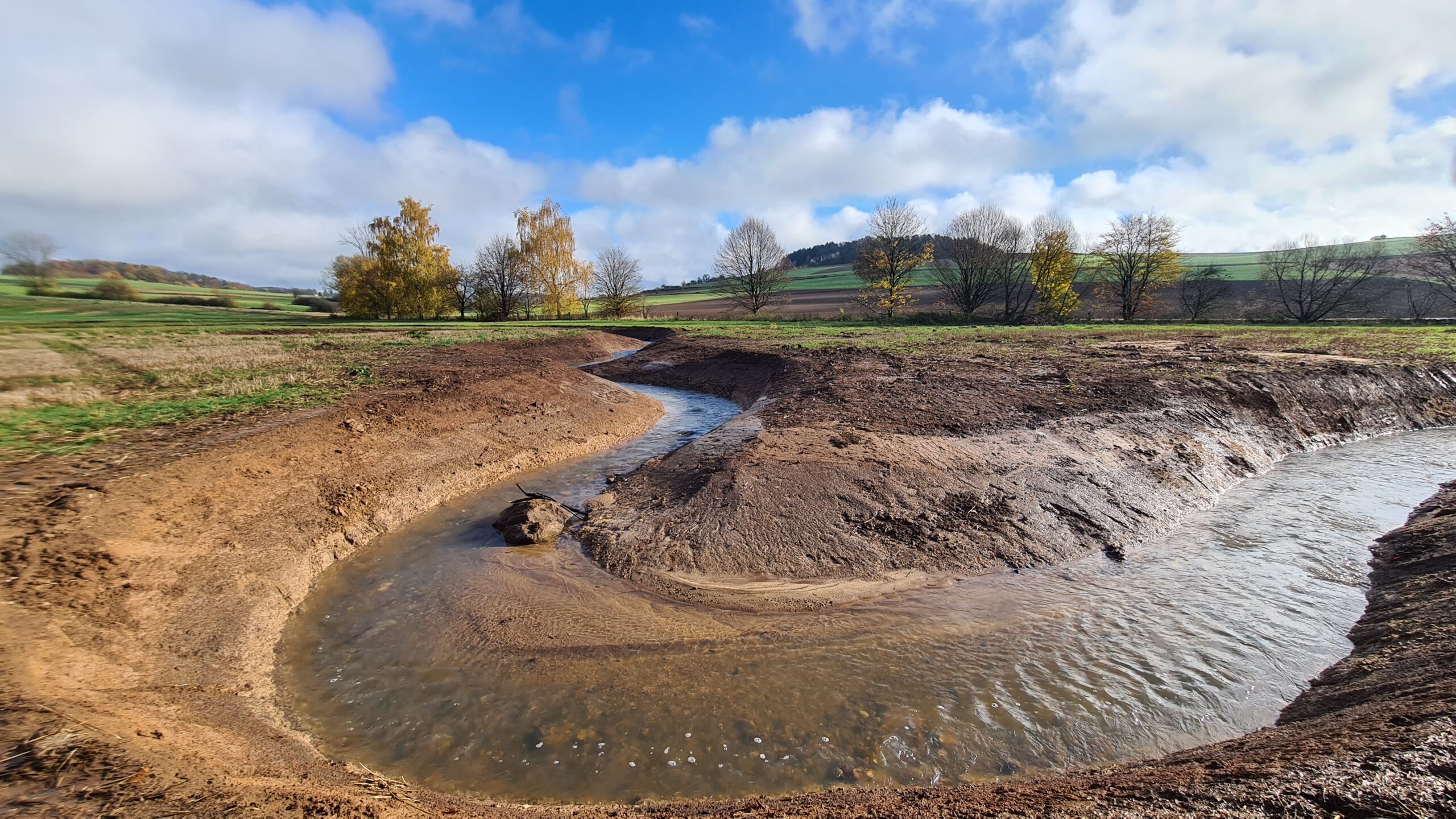 Du betrachtest gerade Einfluss der Wasserqualität: Neue Studie zeigt, wo Renaturierung an Grenzen stößt
