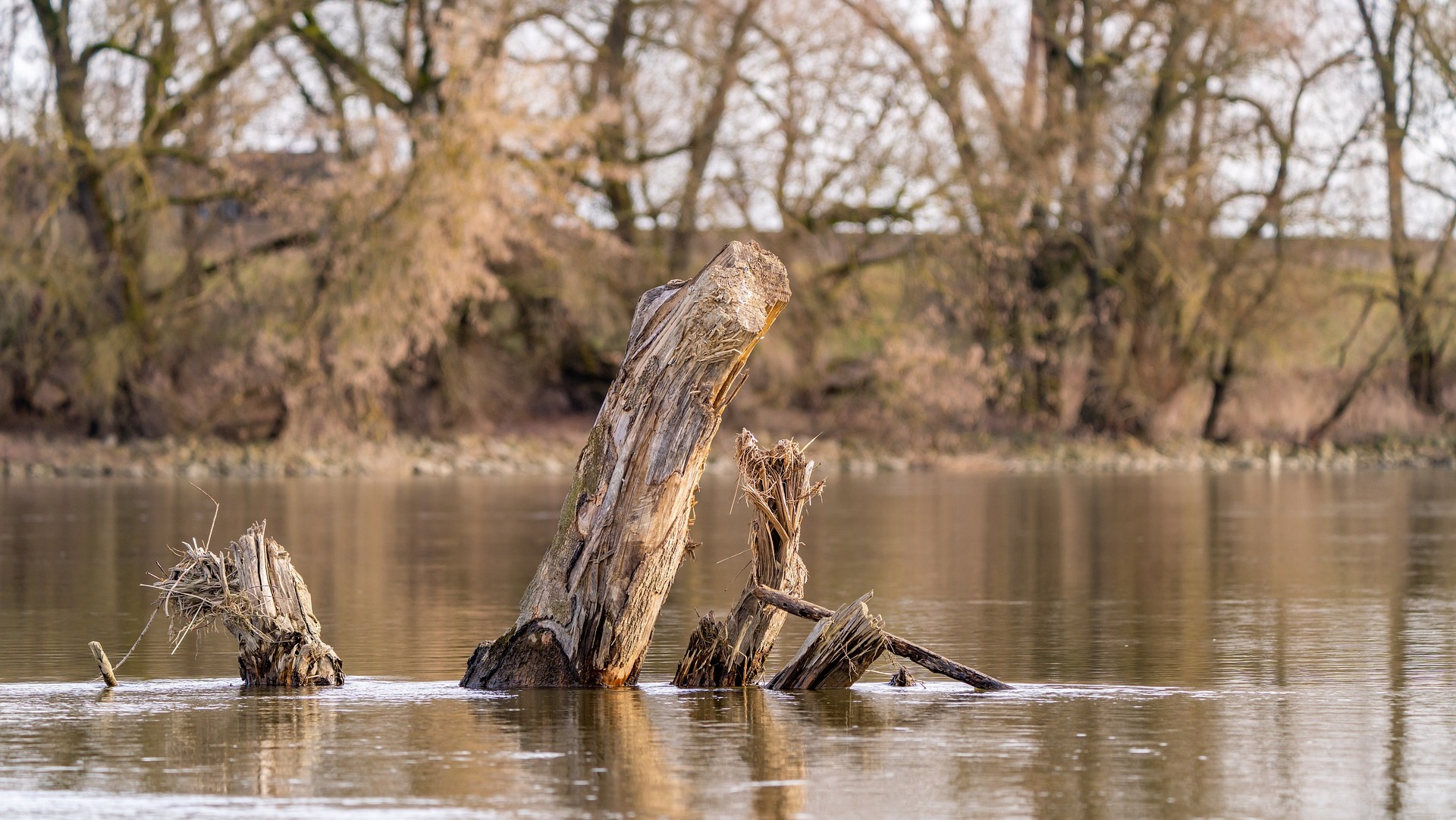 Mehr über den Artikel erfahren Hessen fördert Sanierung der Rheinflügeldeiche an der Weschnitz mit mehr als 12,5 Millionen Euro