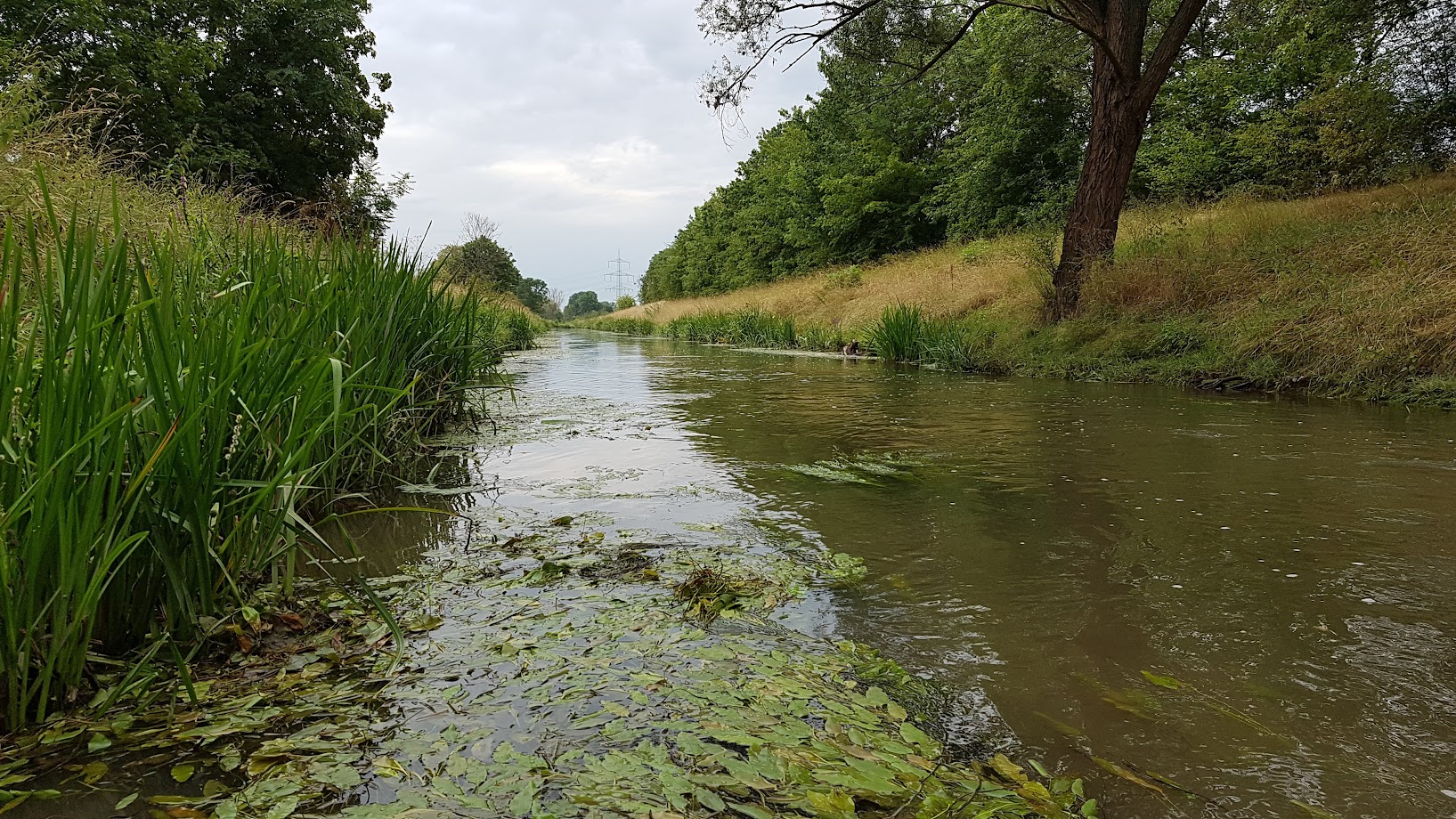 Du betrachtest gerade Nitrit – unterschätzter Faktor der Artenzusammensetzung