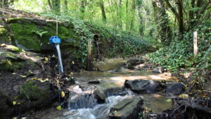 Gewässer mit Einleitungen