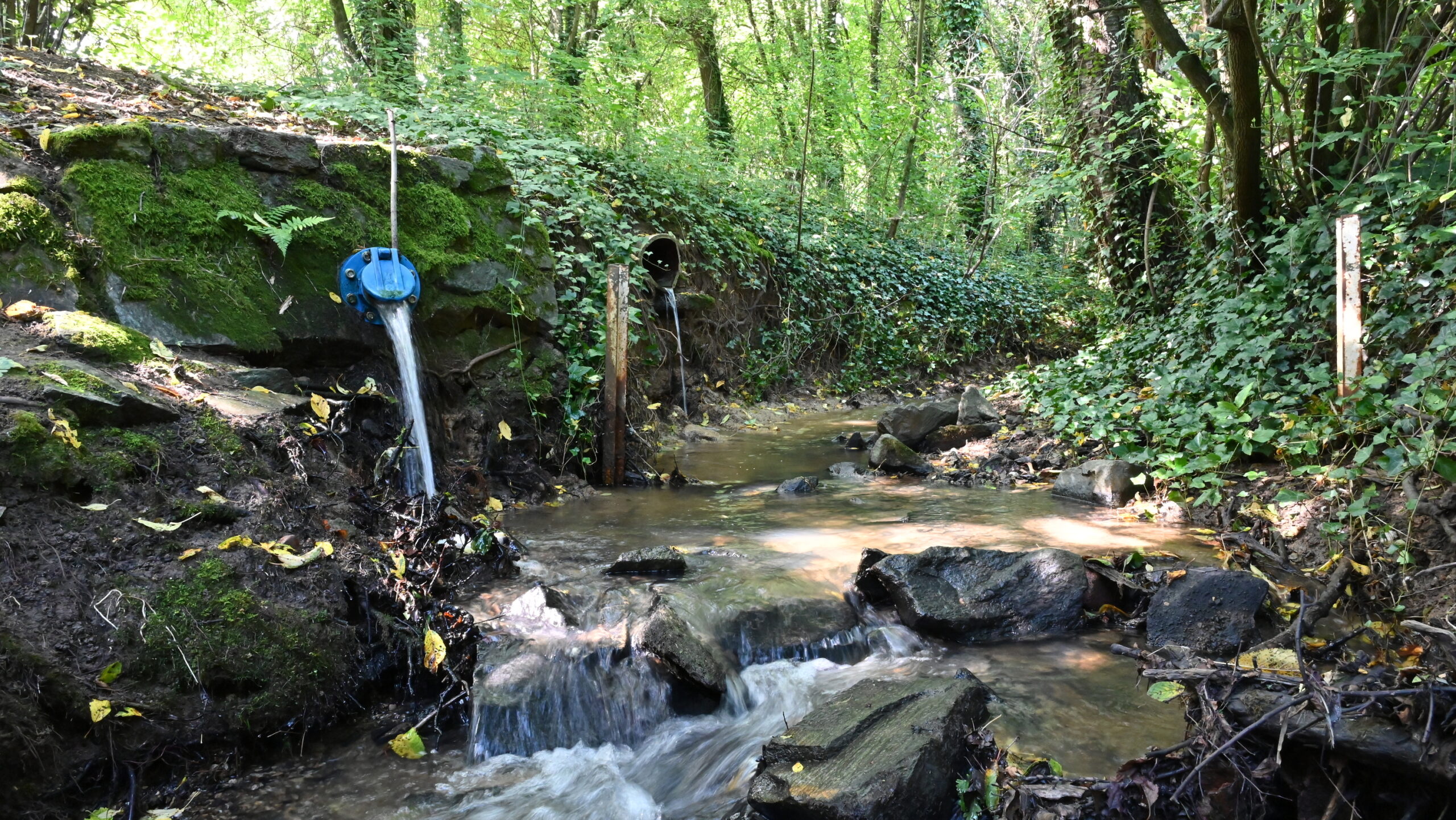 Du betrachtest gerade 1. Hessischer Oberflächengewässertag