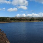 Hitze erhöht Trinkwasserbedarf: Neue Analyse zeigt steigende Belastungen durch Spitzenbedarfe im Versorgungssystem