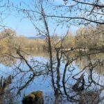 Gewässertyp des Jahres 2026: Kleingewässer