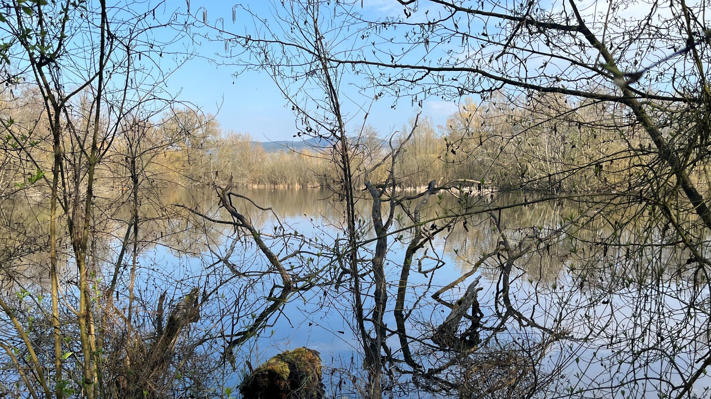 Du betrachtest gerade Gewässertyp des Jahres 2026: Kleingewässer